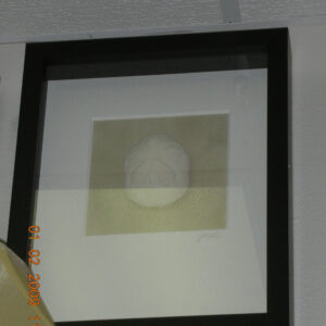 Framed Sea Biscuit on Beach